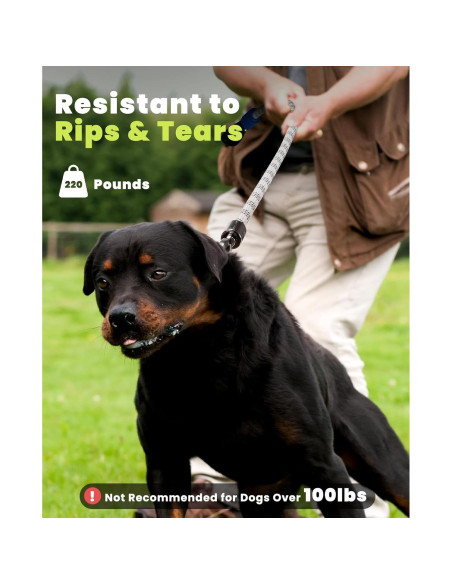 Correa LED para Perros XEUCH 5 Pies Recargable 13 Modos Correa LED para Perros XEUCH 5 Pies Recargable 13 Modos