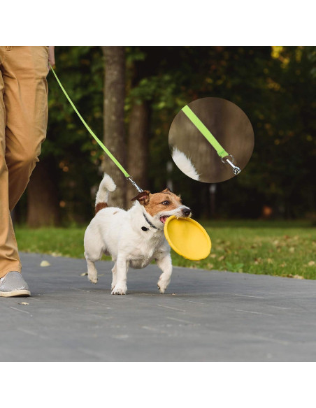 Weewooday 18 Correas Deslizantes para Perros 182 cm Colorido Weewooday 18 Correas Deslizantes para Perros 182 cm Colorido