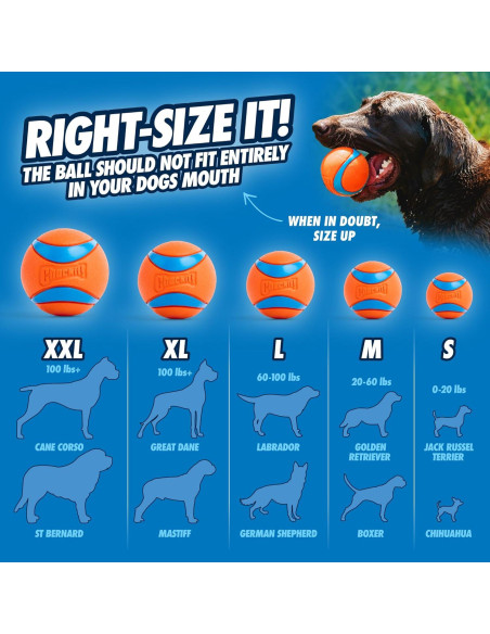 Chuckit! Ultra Ball Juguete para Perros Grande 7,62 cm Chuckit! Ultra Ball Juguete para Perros Grande 7,62 cm