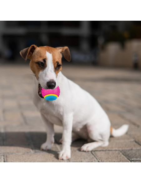Pelota Sensorial SPOT para Perros 6.35 cm - TPR Duradera Pelota Sensorial SPOT para Perros 6.35 cm - TPR Duradera
