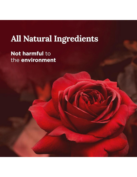 Vela Aromática Magnífico 101 de Cera de Soja 170 g - 35 Horas Vela Aromática Magnífico 101 de Cera de Soja 170 g - 35 Horas