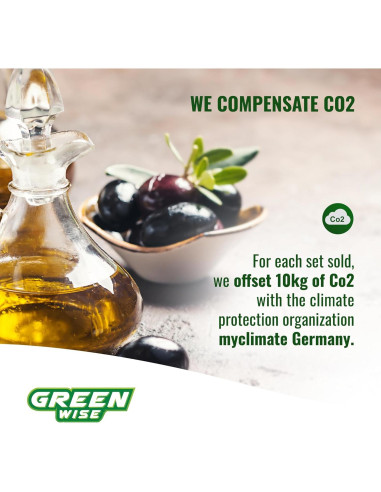 Rociador de Aceite GREEN WISE 100 ml Acero Inoxidable