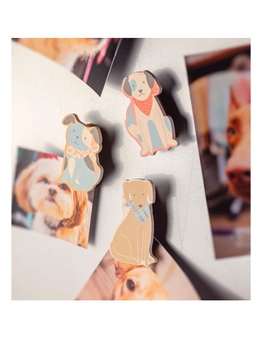 Clips Magnéticos para Bolsas Karma - 3 Piezas Madera Hongo