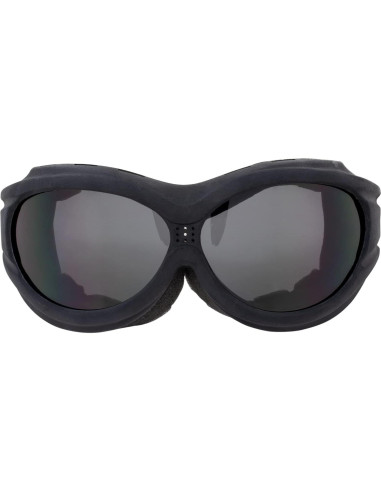 Gafas de Motocicleta Birdz Buzzard con Lente Ahumada