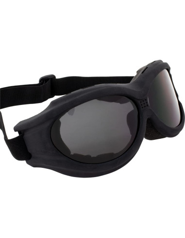 Gafas de Motocicleta Birdz Buzzard con Lente Ahumada