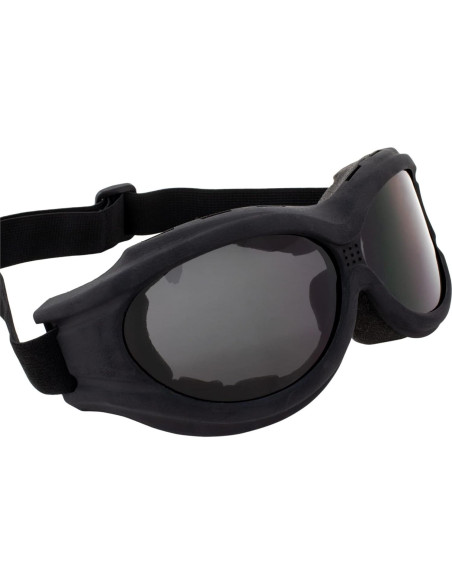 Gafas de Motocicleta Birdz Buzzard con Lente Ahumada Gafas de Motocicleta Birdz Buzzard con Lente Ahumada