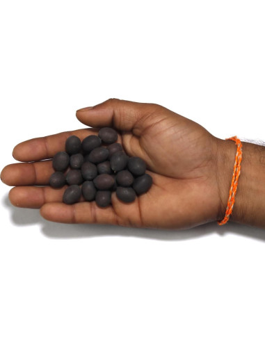Cuentas de Kamal Gatta ASHIRWAD - 21 Piezas para Puja