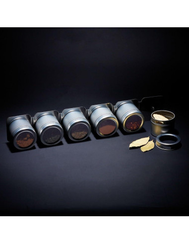 Estante Magnético para Especias Master Class 6 Tarros Acero Inoxidable