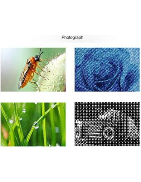 Microscopio Digital USB Meichoon 1600X 3-en-1 con Soporte Microscopio Digital USB Meichoon 1600X 3-en-1 con Soporte