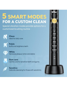 Cepillo de Dientes Eléctrico Bear DYS-K02J3 con 6 Cabezas y Estuche 2