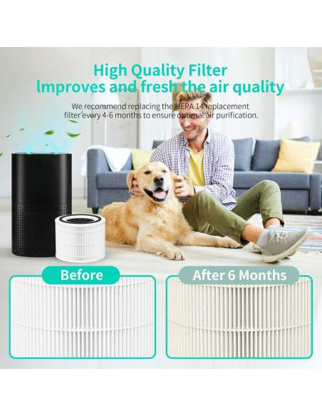 Filtro HEPA Verdadero HillClean 240 para Purificador de Aire Filtro HEPA Verdadero HillClean 240 para Purificador de Aire