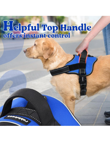 Arnés para Perros Rabbitgoo Pequeño Azul Ajustable Reflectante