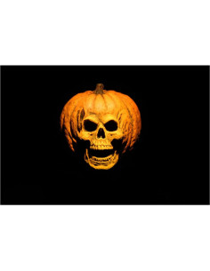 Figuras de Acción NECA Halloween 2 Dr. Loomis y Laurie Strode 2-pack 2