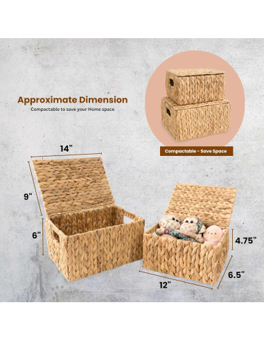 Juego de 2 Cestas de Almacenamiento KOLWOVEN con Tapa