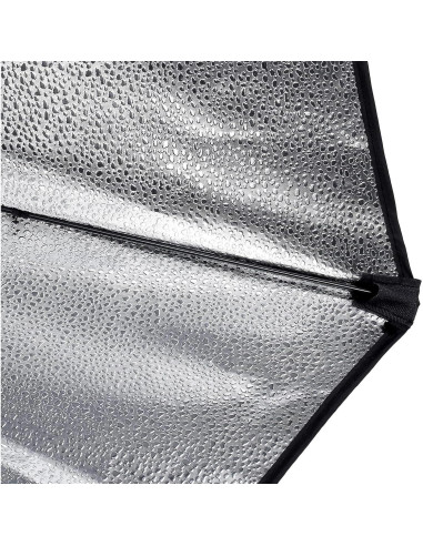 Kit de Iluminación Softbox NEEWER NK200 2x24x24" 5700K LED
