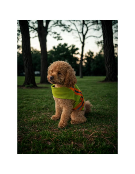 Chaleco Reflectante BUDDY GLOW para Perros Pequeños - Alta Visibilidad Chaleco Reflectante BUDDY GLOW para Perros Pequeños - Alta Visibilidad