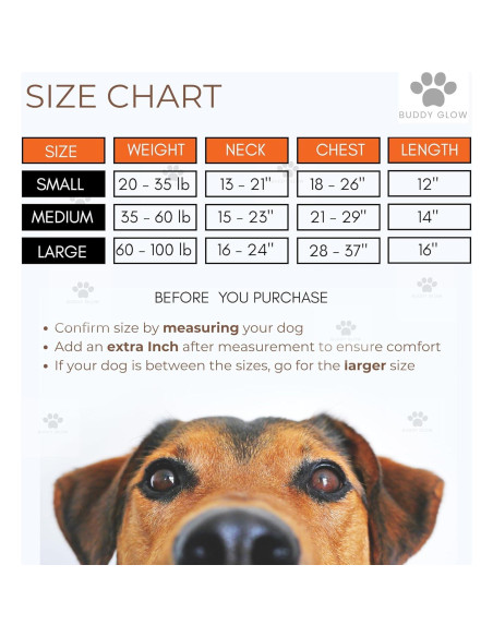 Chaleco Reflectante BUDDY GLOW para Perros Pequeños - Alta Visibilidad Chaleco Reflectante BUDDY GLOW para Perros Pequeños - Alta Visibilidad