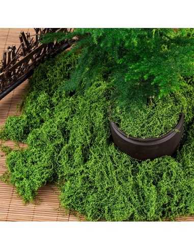 Polvo de Árbol Realista Attuslla 40g Verde Lima y Oscuro