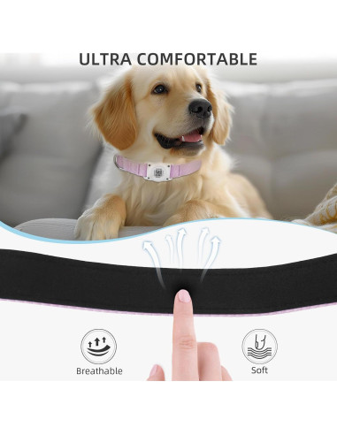 Collar para Perros Furrigo con AirTag y Código QR XL