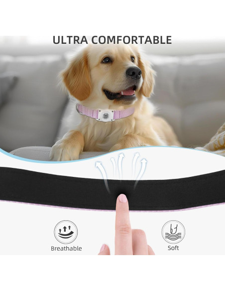Collar para Perros Furrigo con AirTag y Código QR XL Collar para Perros Furrigo con AirTag y Código QR XL