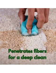 Limpiador de Sofás Noyatech 975 ml - Ecológico y Seguro para Mascotas 2