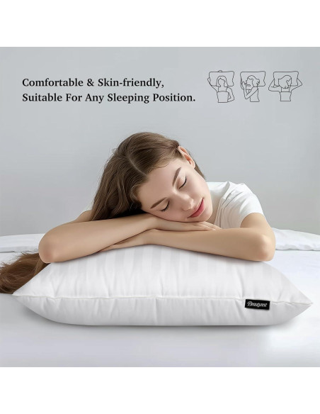 Almohadas de Plumas de Ganso Beautyrest Queen Hipoalergénicas Pack 2 Almohadas de Plumas de Ganso Beautyrest Queen Hipoalergénicas Pack 2