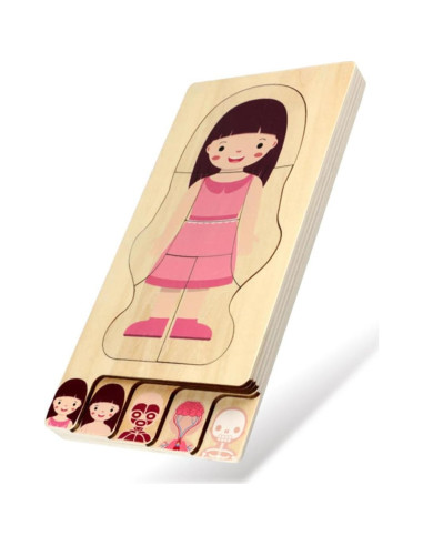 Rompecabezas de Estructura Corporal DECHOUS de Madera 30x14 cm