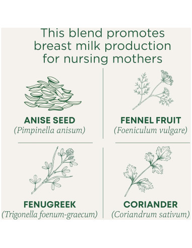 Té Herbal Orgánico Traditional Medicinals para Lactancia - 96 Bolsitas