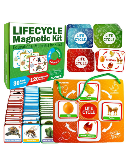 Kit Magnético de Ciclo de Vida QUOKKA - 120 Tarjetas Didácticas Kit Magnético de Ciclo de Vida QUOKKA - 120 Tarjetas Didácticas