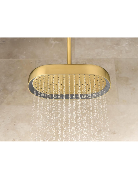 Cabezal de Ducha de Lluvia Kohler 14" Cromo Pulido Cabezal de Ducha de Lluvia Kohler 14" Cromo Pulido