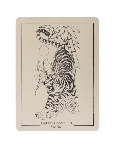 5 Piezas Piel de Práctica para Tatuajes Rosenice 20x15cm 5 Piezas Piel de Práctica para Tatuajes Rosenice 20x15cm