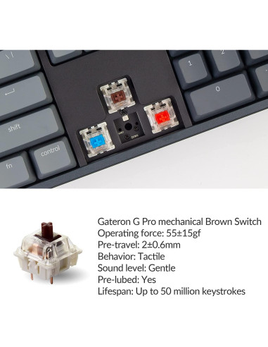 Teclado Mecánico Inalámbrico Keychron K10 RGB 104 Teclas