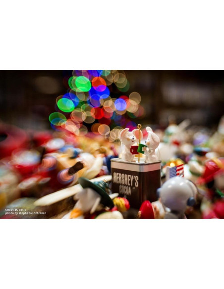 Lensbaby Composer Pro II Sweet 35 para Canon EF - 35mm Lensbaby Composer Pro II Sweet 35 para Canon EF - 35mm