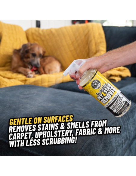 Removedor de Manchas de Mascotas Furbidden Chemical Guys 946 ml Removedor de Manchas de Mascotas Furbidden Chemical Guys 946 ml