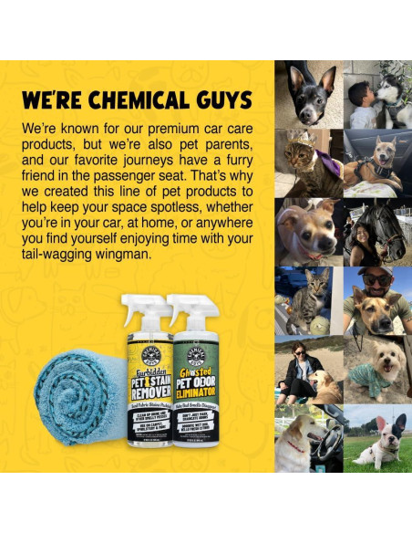 Removedor de Manchas de Mascotas Furbidden Chemical Guys 946 ml Removedor de Manchas de Mascotas Furbidden Chemical Guys 946 ml