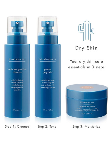 Limpiador Hidratante Positivo Bioelements 74.57 ml