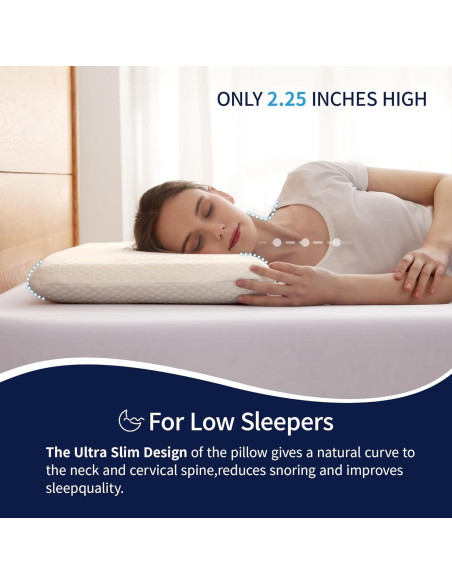 Almohada Plana AMICLIBER de Espuma de Memoria 5.08 cm Almohada Plana AMICLIBER de Espuma de Memoria 5.08 cm