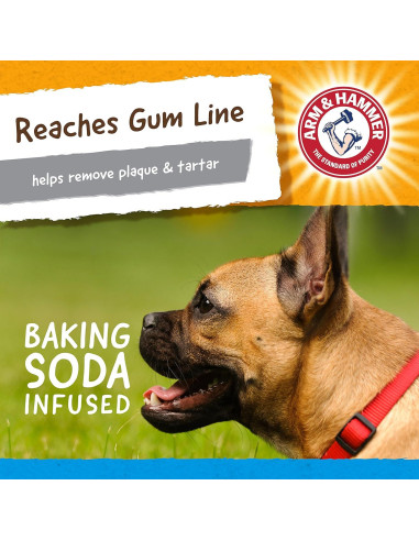 Juguete Dental para Perros Arm & Hammer Gator 1 Cuenta