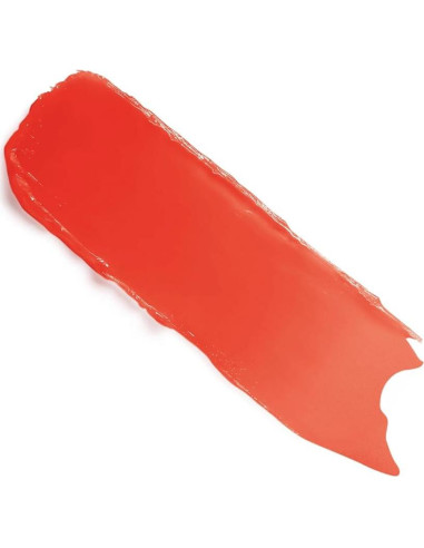 Bálsamo Labial Revitalizante Dior Addict SPF 10 3.11g