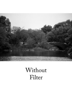 Filtro de rosca Hoya HMC 77mm Amarillo para fotografía 2