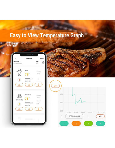 Termómetro Digital WiFi Inkbird IHT-1P para Grill y BBQ