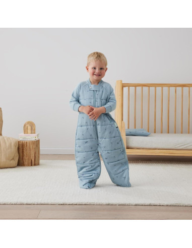 Saco de Sueño ErgoPouch 3.5 TOG Bebés 8-24 Meses Libélulas
