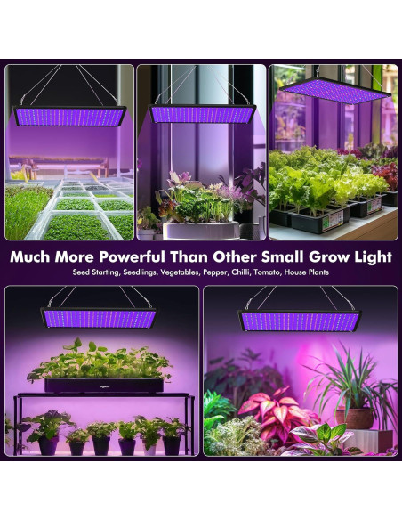 Luz de Cultivo LED 100W LUYIMIN Espectro Completo para Plantas Luz de Cultivo LED 100W LUYIMIN Espectro Completo para Plantas
