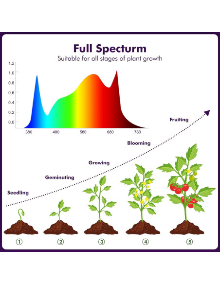 Luz de Cultivo LED 100W LUYIMIN Espectro Completo para Plantas Luz de Cultivo LED 100W LUYIMIN Espectro Completo para Plantas