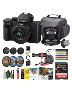 Cámara Sin Espejo Panasonic Lumix G100 4K con Lentes y Accesorios