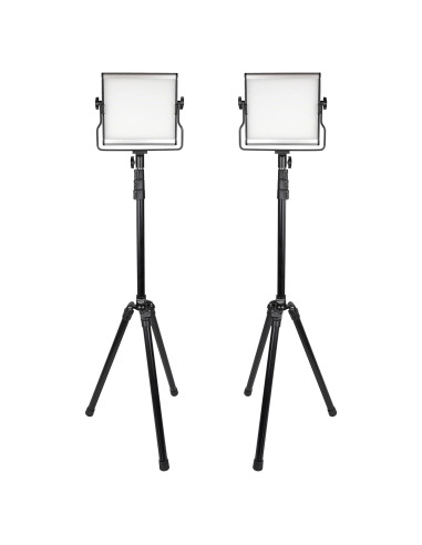 Kit de Iluminación LED Bi-Color ProMaster Basis B88B 2 Luces