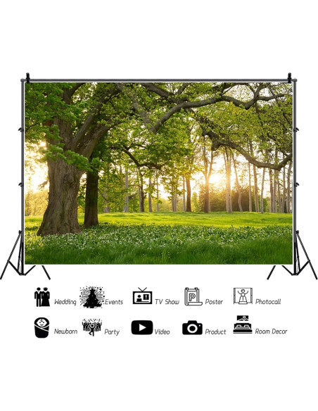 Fondo Fotográfico Vinilo 2.13x1.52m TOENGS Bosque Primavera Fondo Fotográfico Vinilo 2.13x1.52m TOENGS Bosque Primavera