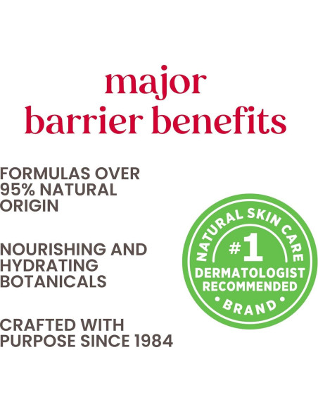 Paquete de 2 Bálsamos Labiales Tintados Burt's Bees - Flor de Cereza y Rosa Pétalo Paquete de 2 Bálsamos Labiales Tintados Burt's Bees - Flor de Cereza y Rosa Pétalo