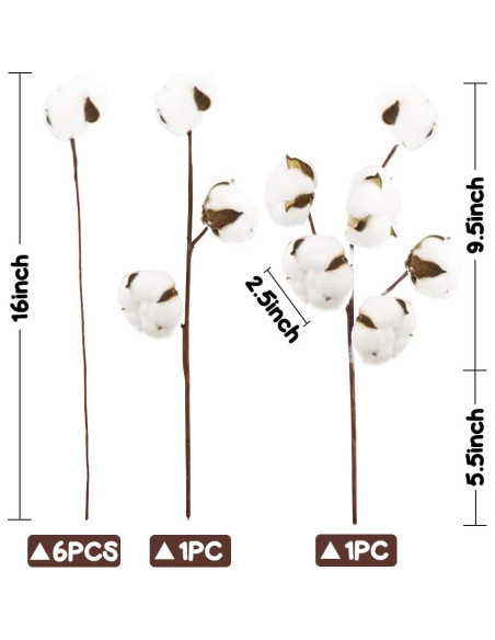 Ramas de Algodón Natural DomeStar - 8 Paquetes para Decoración Ramas de Algodón Natural DomeStar - 8 Paquetes para Decoración
