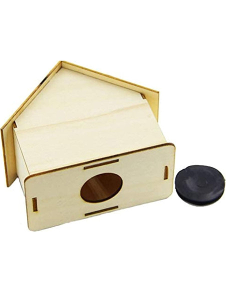 Alcancía de Madera DIY Alfyng 6 Pcs para Pintar y Decorar Alcancía de Madera DIY Alfyng 6 Pcs para Pintar y Decorar